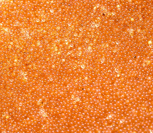 Resins Media